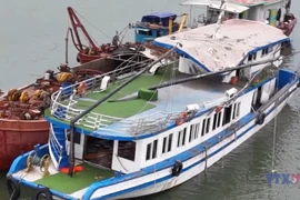 下龙湾游船倾覆事故：35死10伤，4人仍失踪