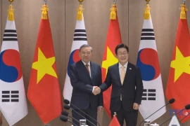 苏林总书记与韩国总统李在明举行会谈, 会见韩国总理金敏锡