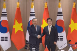 苏林总书记与韩国总统李在明举行会谈, 会见韩国总理金敏锡