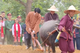 国家主席梁强出席“祖国各地春意盎然”活动