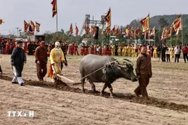 新春伊始不容错过的传统节日