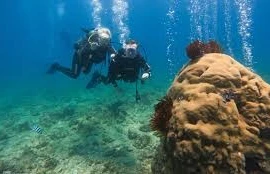 越南不容错过的7大探险旅行体验