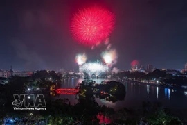 2026丙午年春节河内烟花璀璨绽放