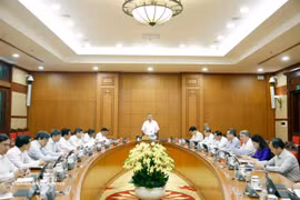 苏林：未来100年愿景要继续体现越南民族的发展渴望