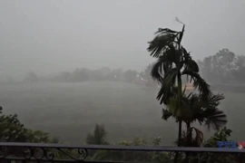 越南政府总理就第3号台风应对工作签发公电