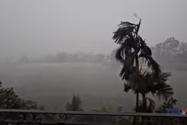 越南政府总理就第3号台风应对工作签发公电