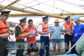 胡志明市收紧船队管理 准备迎接欧委会打击IUU检查团