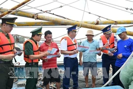 胡志明市收紧船队管理 准备迎接欧委会打击IUU检查团