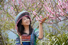 春满山坡：莱州新水湖社区旅游村迎来桃花盛景