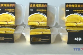 越南果蔬对中国市场出口逐步回暖