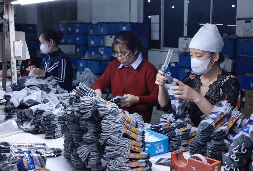 纺织品、皮鞋类在“自家主场”仍具巨大潜力。图自越通社