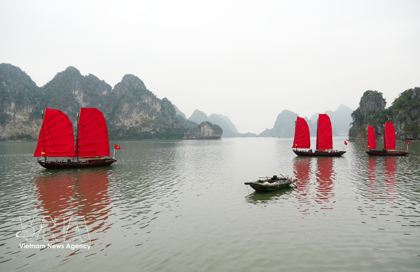 下龙湾与兰夏湾跨遗产区海上旅游线路正式开通。图自越通社