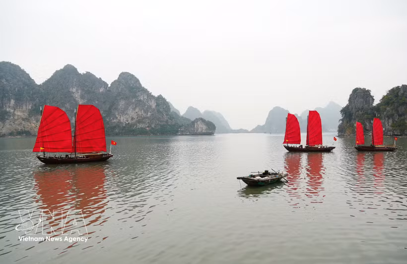下龙湾与兰夏湾跨遗产区海上旅游线路正式开通。图自越通社