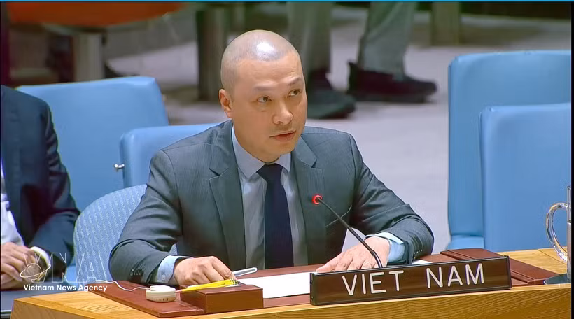 越南常驻联合国代表团副代表阮黄元公使。图自越通社