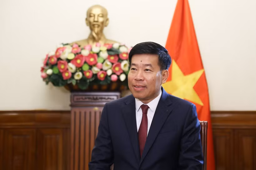 越南外交部副部长阮孟强。图自越通社