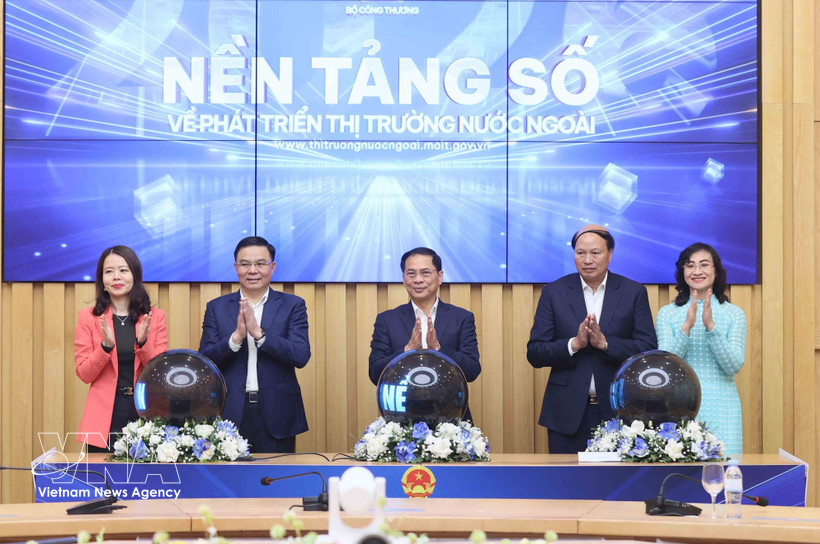 拓展海外市场的数字平台正式开通。图自越通社