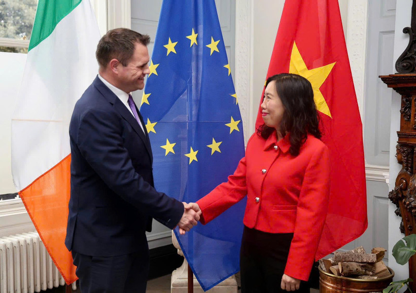 越南与爱尔兰举行副外长级政治磋商。图自越南外交部