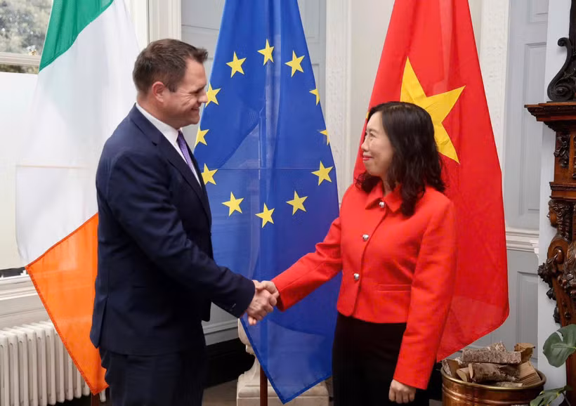 越南与爱尔兰举行副外长级政治磋商。图自越南外交部