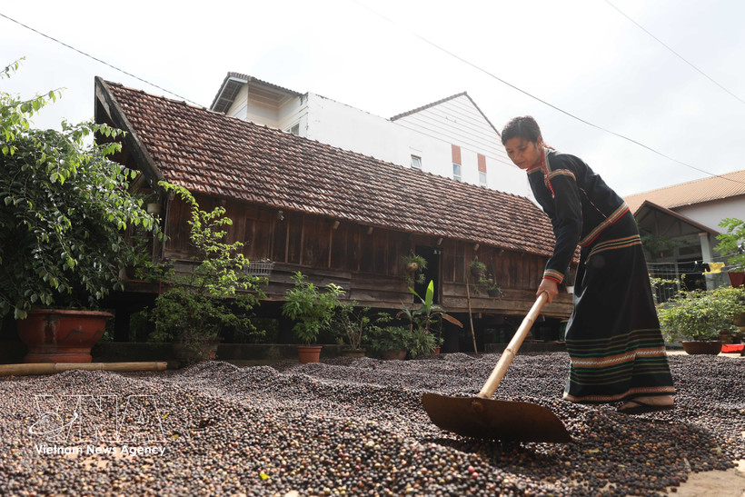 得乐省做好埃地族同胞长屋保护弘扬与社区旅游发展两手抓
