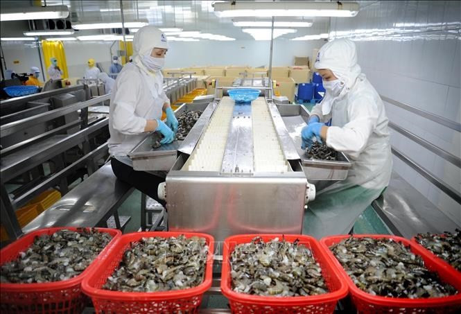 附图。图自越通社