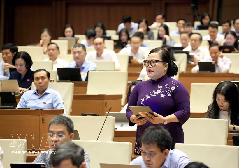 国会代表发表意见。图自越通社