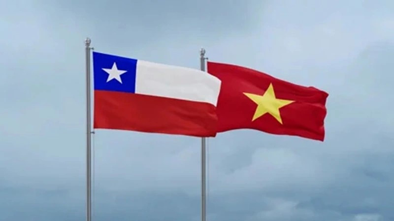越南与智利国旗。图自互联网