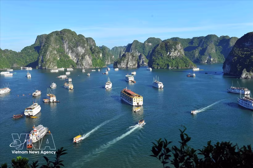 广宁省下龙湾成为中国游客十分青睐的旅游目的地。图自越通社