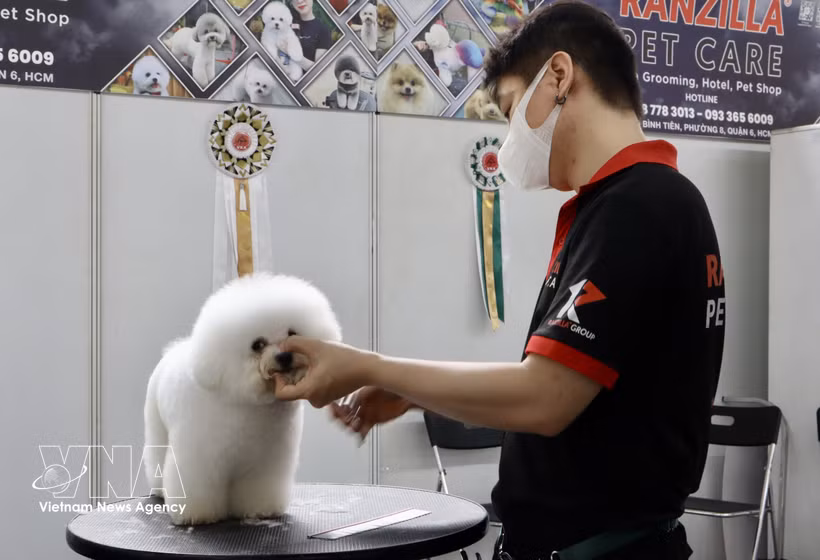 越南宠物市场吸引韩国企业目光。图自越通社