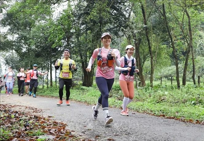 参加菊芳丛林小径（Cúc Phương Jungle Paths）跑步竞赛的运动员。图自越通社