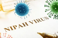 附图。图自越通社