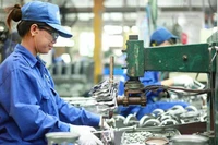 附图。图自越通社