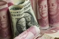 附图。图自互联网