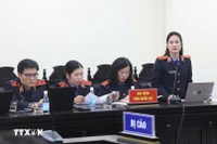 检察院代表强调：“假奶粉中某些成分含量超过标称标准，并不意味着质量更好。” 图自越通社