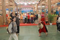 附图。图自越通社