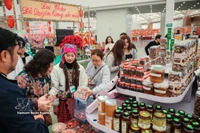 游客在春季博览会上购物。图自越通社