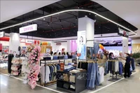 附图。图自越通社