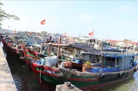 附图。图自越通社