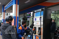 附图。图自越通社