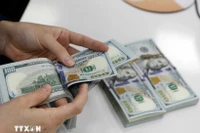 附图。图自越通社