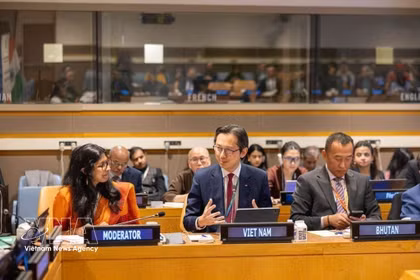 越南常驻联合国团团长杜雄越大使（中）在座谈会上发言。图自越通社