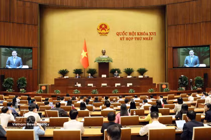 国会副主席阮克定主持会议。图自越通社