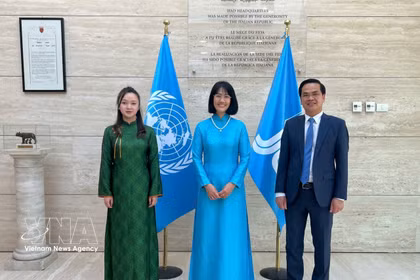 阮芳英大使（中）正式担任越南常驻国际农业发展基金代表。图自越通社