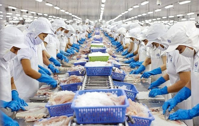 亚行专家认为，2025年越南经济依然稳健增长。图自Vietnam+