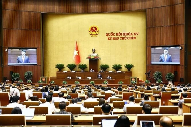 越南最高人民检察院检察长阮辉进就国徽代表提出的问题进行进一步说明和厘清。图自越通社