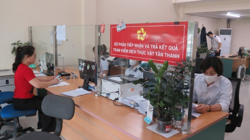 谅山省新青植物检疫站开展农产品出口前检疫记录接收活动。图自互联网