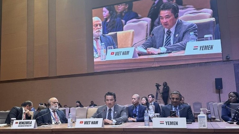 越南外交部国际组织司司长范海英大使在会上发表讲话。外交部供图