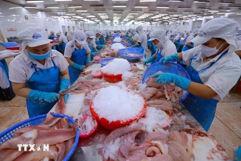 资料图。图自越通社