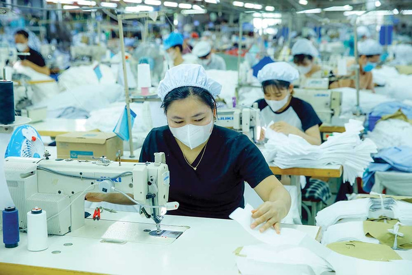 纺织服装业迅速适应市场波动 | Vietnam+ (VietnamPlus)