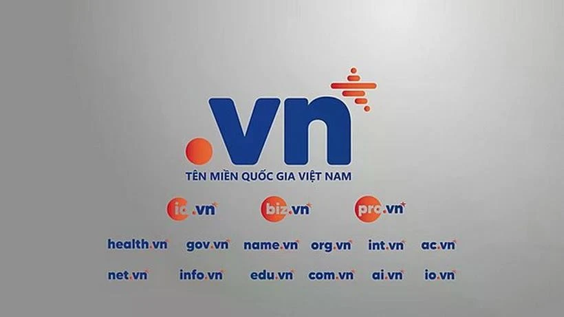 保护“.vn”域名免遭非法抢注的风险