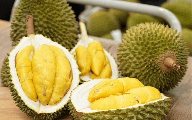 资料图。图自《政府报》